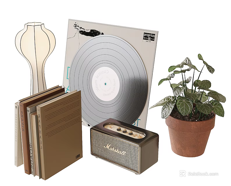 Decorative Ornament Set with Vase Vinyl Record Books Radio and Green Plant in Brown Pot 3d model 