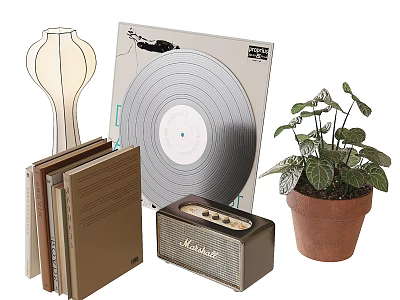 Decorative Ornament Set with Vase Vinyl Record Books Radio and Green Plant in Brown Pot 3d model