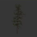 Isolated Tree With Brown Trunk And Green Leaves Against Gray Gradient Background