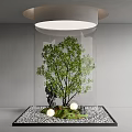 Modern Indoor Garden Decor With Small Tree Pebbles Moss And Round Elements Under Overhead Light 3d model