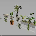 Various Indoor Plants with Different Planters Including White Ceramic and Clay Pots 3d model
