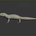 Lizard Anime Lizard Chameleon Cartoon Lizard Reptile Cold Blooded Animal Reptile Class 3d model