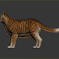 Modern Cat Smokie Cat Smokie Cat Yellow Cat Kitten Cat 3d model