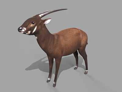 Brown Antelope With Long Horns White Ears And Legs Standing On Gray Background 3d model