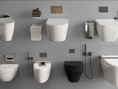 Modern Toilet in Various Styles with Bathroom Accessories and Fixtures 3d model