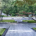 Garden Wall Design With Stone Surface Surrounding Trees Greenery And Pathway 3d model