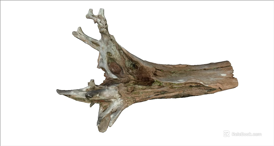 Natural Weathered Tree Stump With Detailed Wood Texture And Organic Shape 3d model 