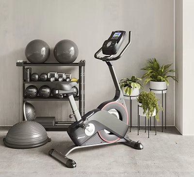 Home Gym Sports Equipment Including Stationary Bike Exercise Balls Dumbbells And Plants 3d model