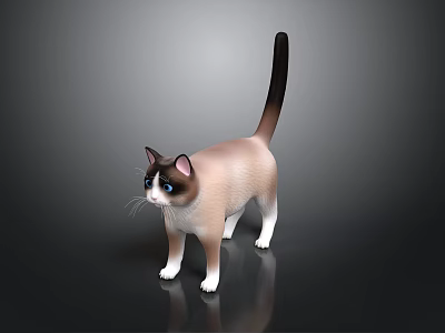 3D Rendered Cat Model With Brown White Fur Blue Eyes Black Tail On Dark Background 3d model