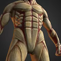 Game Film Character 3D Model With Detailed Muscle Structure Anatomical Design Front Back View