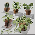 Elegant Wall Decor with Multiple Transparent Glass Shelves Holding Potted Green Plants