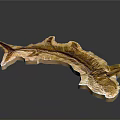 Golden Fish Organ Model with Hair Like Texture and Detailed Structure