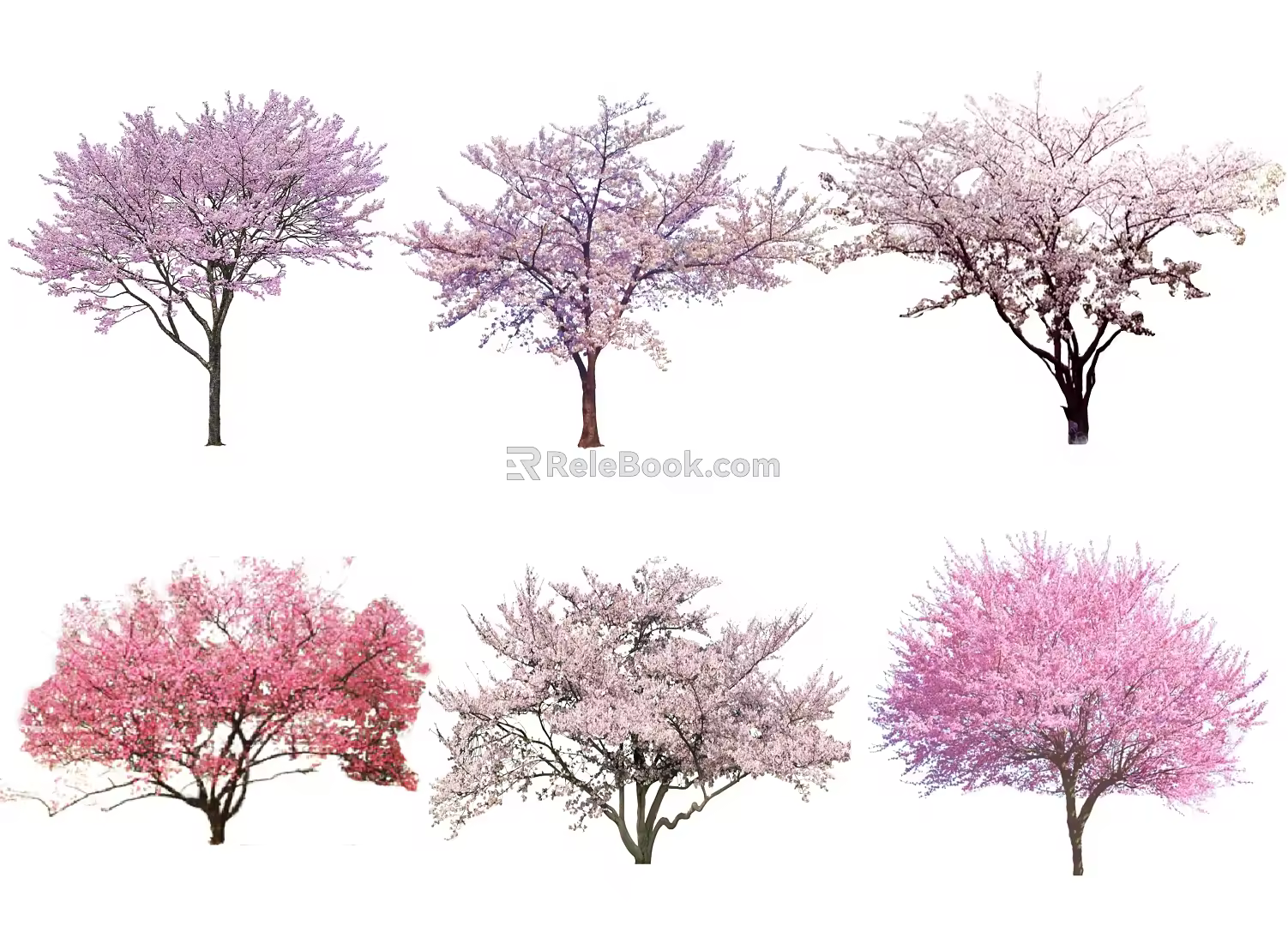 Modern cherry tree peach tree red plum blossom wintersweet peach color leaf tree jacaranda modeling tree landscape tree ornamental tree 3d model