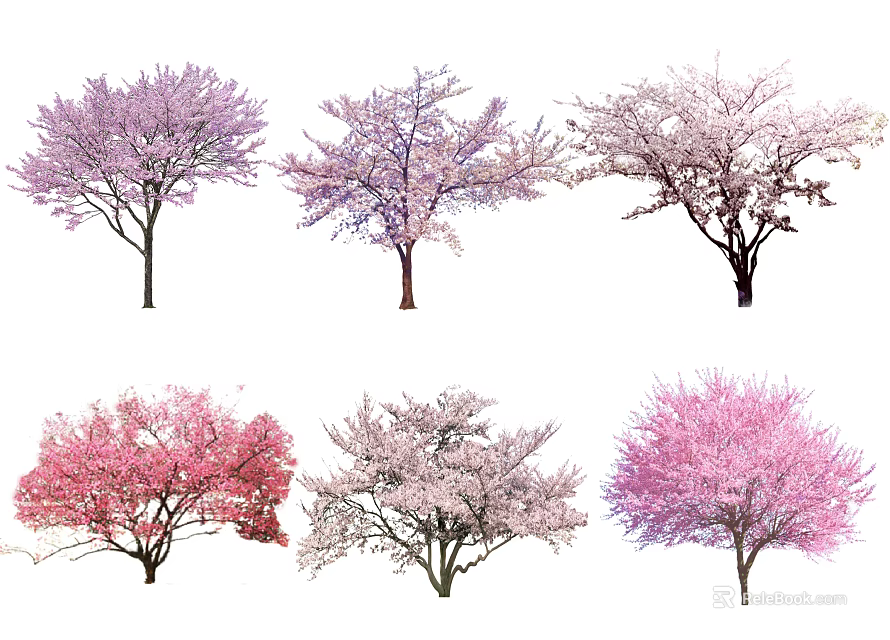 Vibrant Flowering Arbor Varieties with Purple Pink Red and White Blooms 3d model 