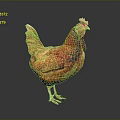 Orange Red Rooster With Vibrant Feathers And Red Comb Standing On Gray Background