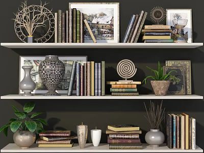 Stylish Wall Cabinets in Home Space with Books Decorations Vases and Potted Plants 3d model