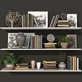 Stylish Wall Cabinets in Home Space with Books Decorations Vases and Potted Plants