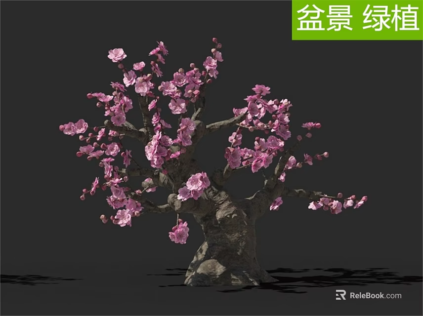 Beautiful Bonsai Arbor With Pink Blossoms As Indoor Decorative Green Plant 3d model 