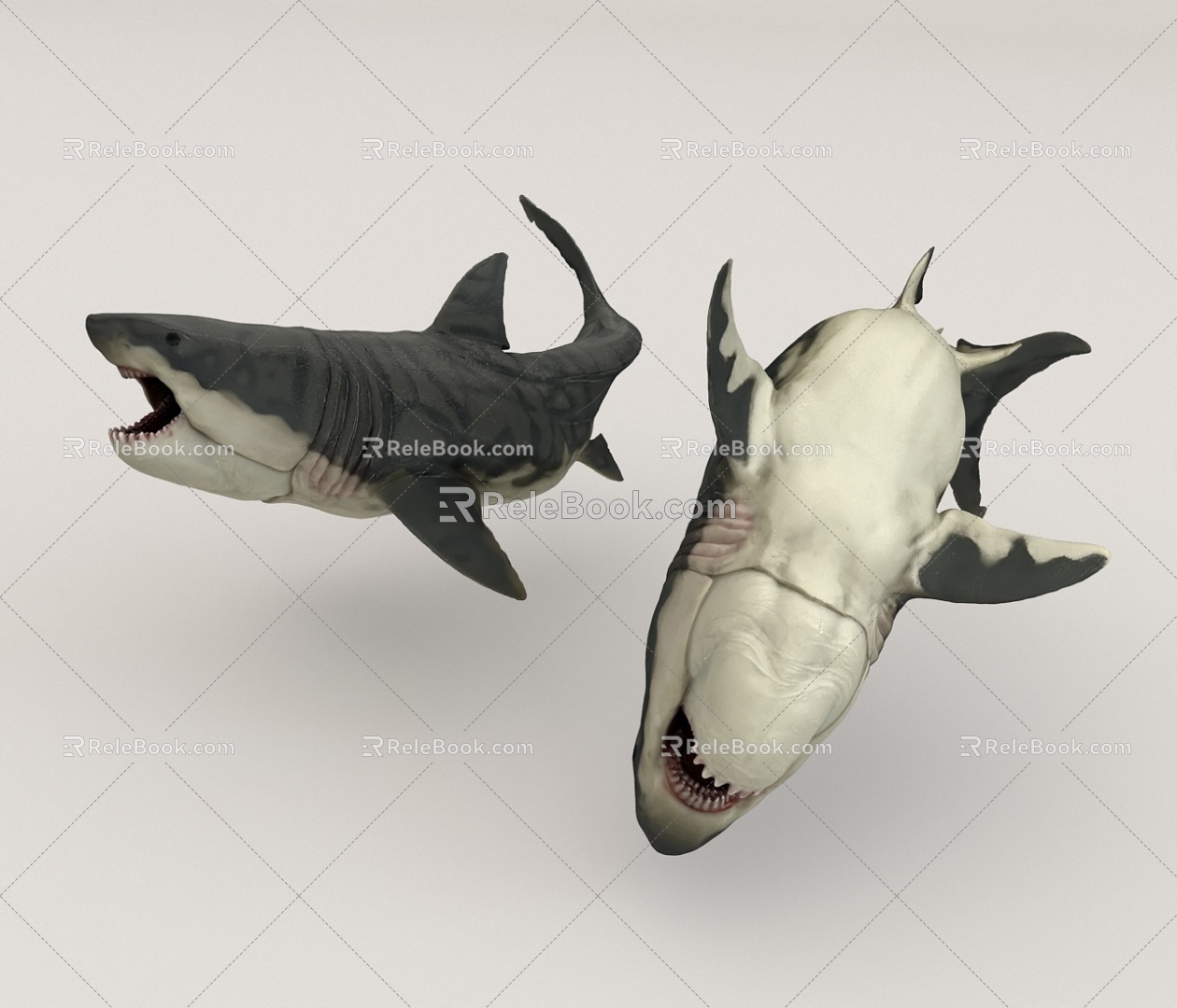 Great White Shark Ocean 3d model