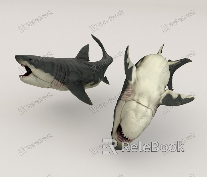 Great White Shark Ocean model