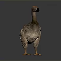 Ostrich 3D Render With Long Neck Black Beak Brown Feathers And Yellow Claws