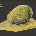 Ripe Fresh Green Avocado With Rough Texture On Wooden Cutting Board