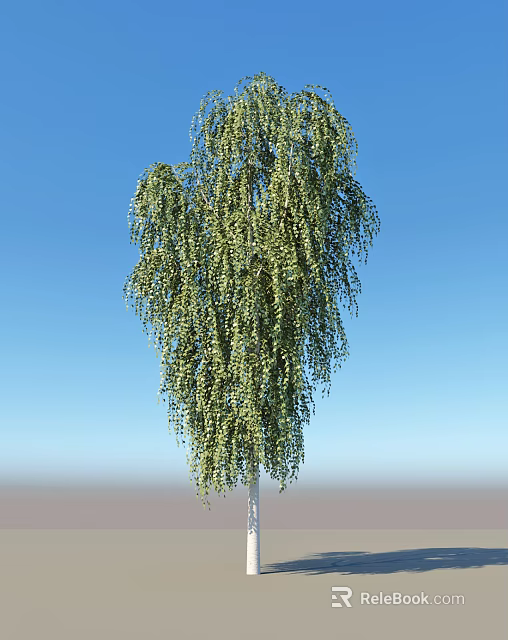 Tall Weeping Willow Tree With Green Hanging Branches Against Blue Sky 3d model 