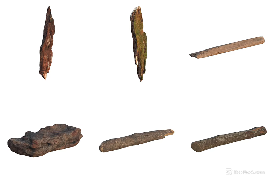 Various Natural Wooden Fragments And Twigs With Dried Textures And Shapes 3d model 