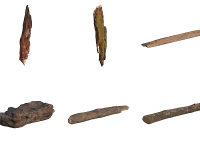 Various Natural Wooden Fragments And Twigs With Dried Textures And Shapes 3d model