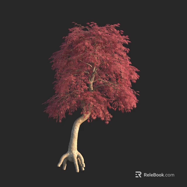 Red Leafed Arbor With Curved Trunk Exposed Roots On Black Background 3d model 