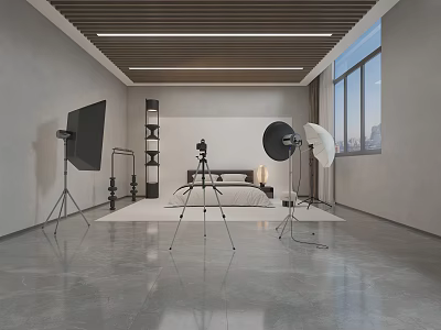 Professional Photography Studio Setup With Lighting Tripod Backdrop Bed And Window 3d model