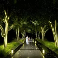 Decorative Lights Lighting Up Tree Lined Pathway At Night With Greenery And People