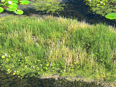 Modern Living Room Sofa Coffee Table Set With Stylish Design And Comfortable Seats 3d model