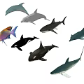 Diverse Aquatic Animals Including Dolphins Sharks Orcas and Colorful Tropical Fish