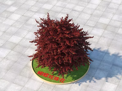 Red Leaved Shrub Planted in Circular Green Lawn Base on Paved Ground 3d model