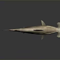 Realistic 3D Hammerhead Shark with Hammer Shaped Head Streamlined Body Fins and Tail