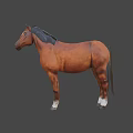 Brown Game Character Horse With Black Mane White Face And White Hooves