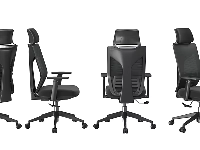 Ergonomic Office Chair With Modern Mesh Back Adjustable Height And Swivel Base 3d model