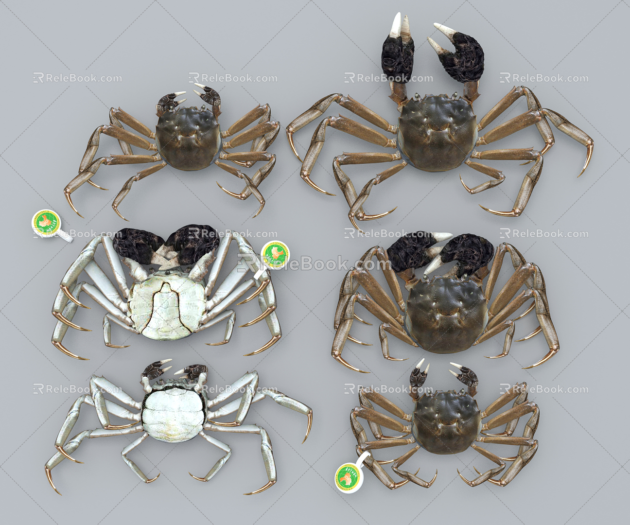 Modern Crab 3d model