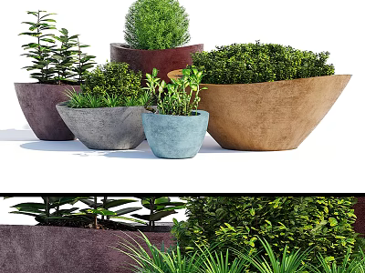 Decorative Bonsai Potted Plants With Various Colored Pots Green Foliage And Different Shapes 3d model