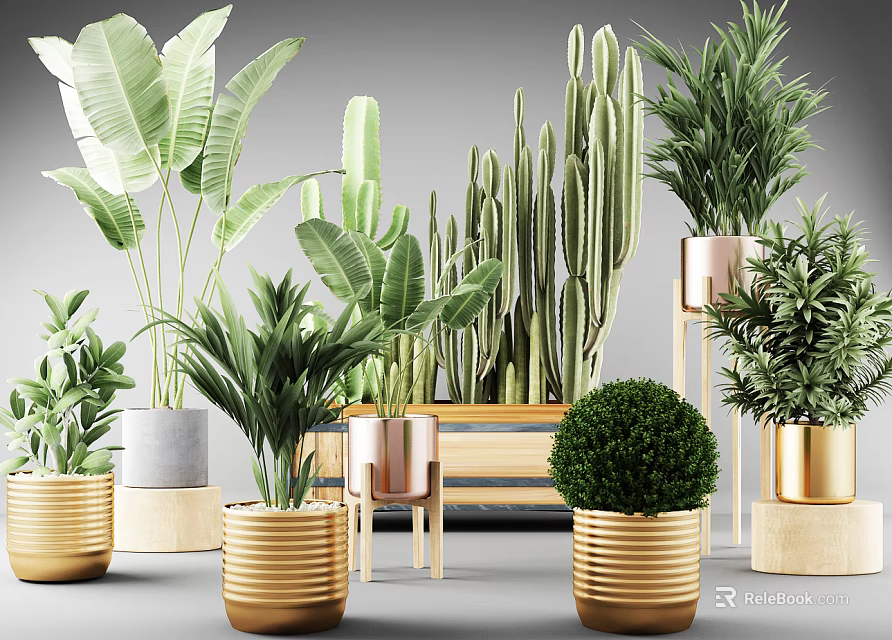 Indoor Decorative Potted Plants With Various Green Species And Metal Ceramic Planters 3d model 