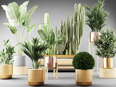Indoor Decorative Potted Plants With Various Green Species And Metal Ceramic Planters 3d model