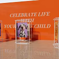 Event Display Wall In Orange Featuring Celebrate Life Your Child Lettering Clear Cases Pet