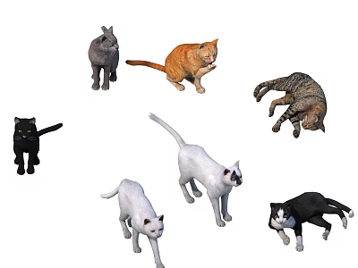 Various Colored Cats in Different Playful Poses and Positions 3d model