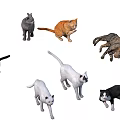 Various Colored Cats in Different Playful Poses and Positions