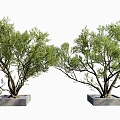 modern landscape tree arbor old pile big tree courtyard landscaping tree plant landscaping 3d model