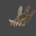 Brown Branched Marine Organism With Detailed Textured Surface And Natural Structure