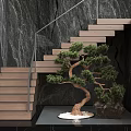 Modern Staircase With Wooden Steps Glass Railing And Bonsai Tree Against Marble Wall