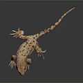 Brown Spotted Lizard Standing On Black Smooth Surface With Gray Gradient Background 3d model