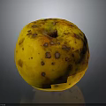 Yellow Spotted Apple with Brown Blemishes on Dark Background with Shiny Reflection Surface 3d model